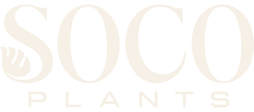 SoCo Plants